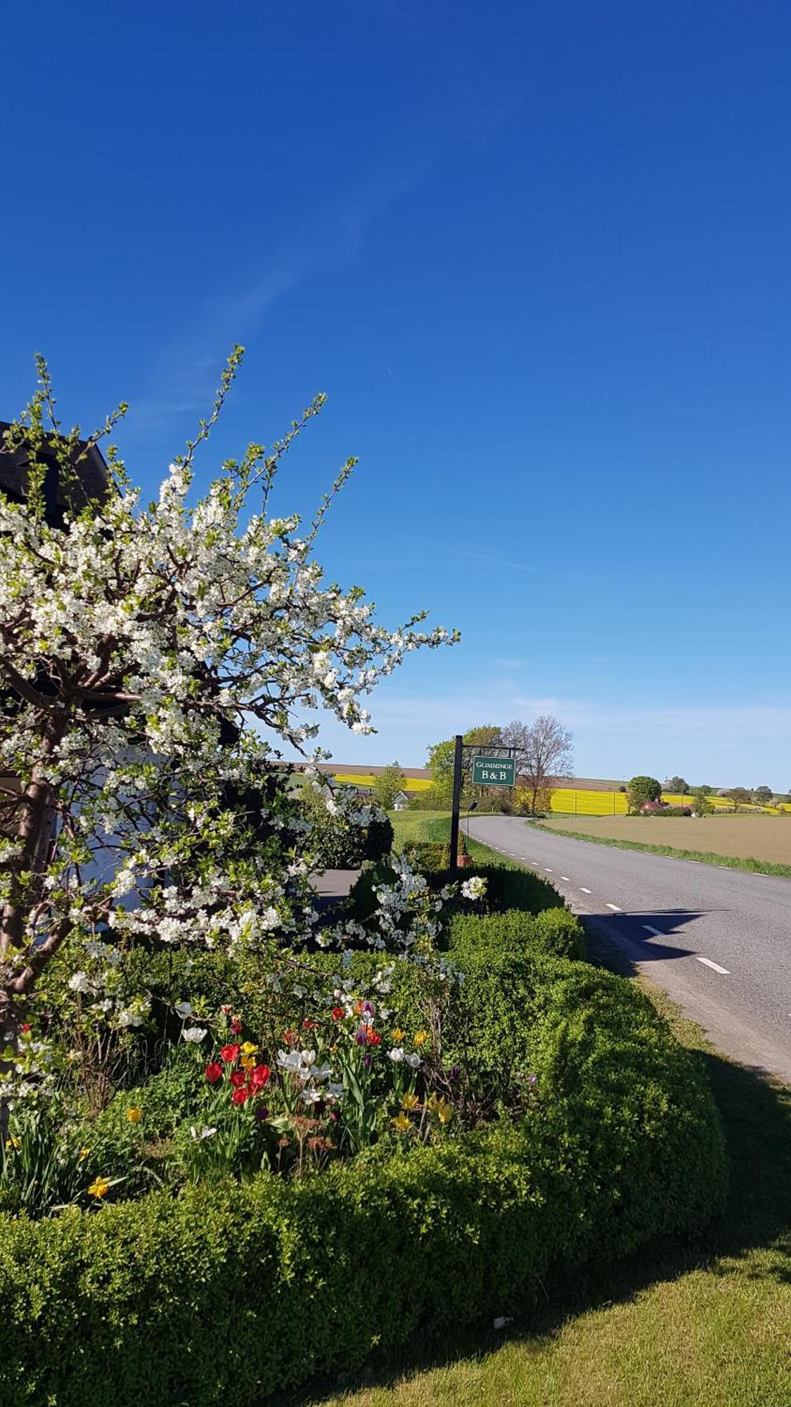 Glimminge Bed & Breakfast Simrishamn község Kültér fotó