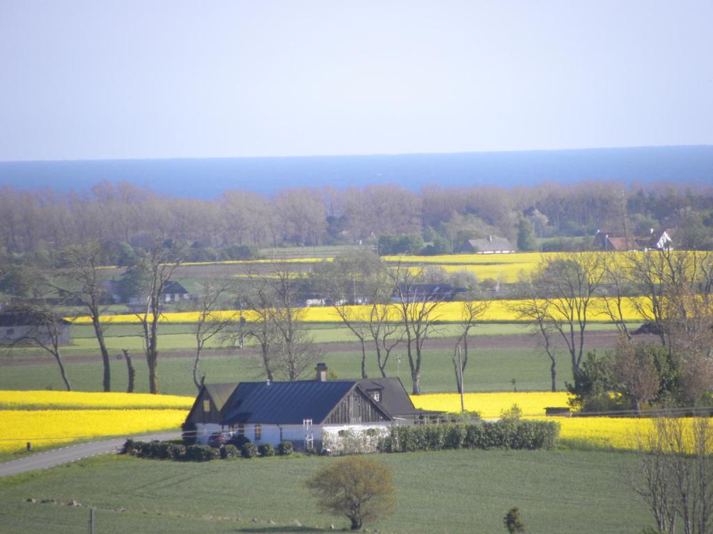 Glimminge Bed & Breakfast Simrishamn község Kültér fotó