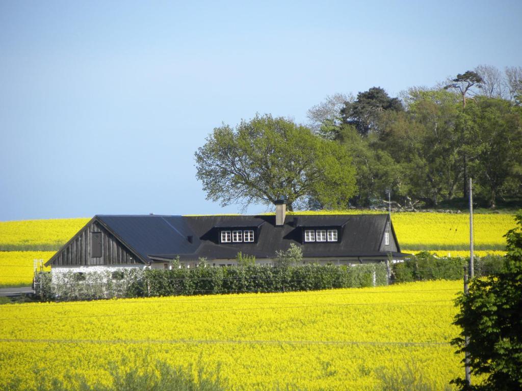 Glimminge Bed & Breakfast Simrishamn község Kültér fotó