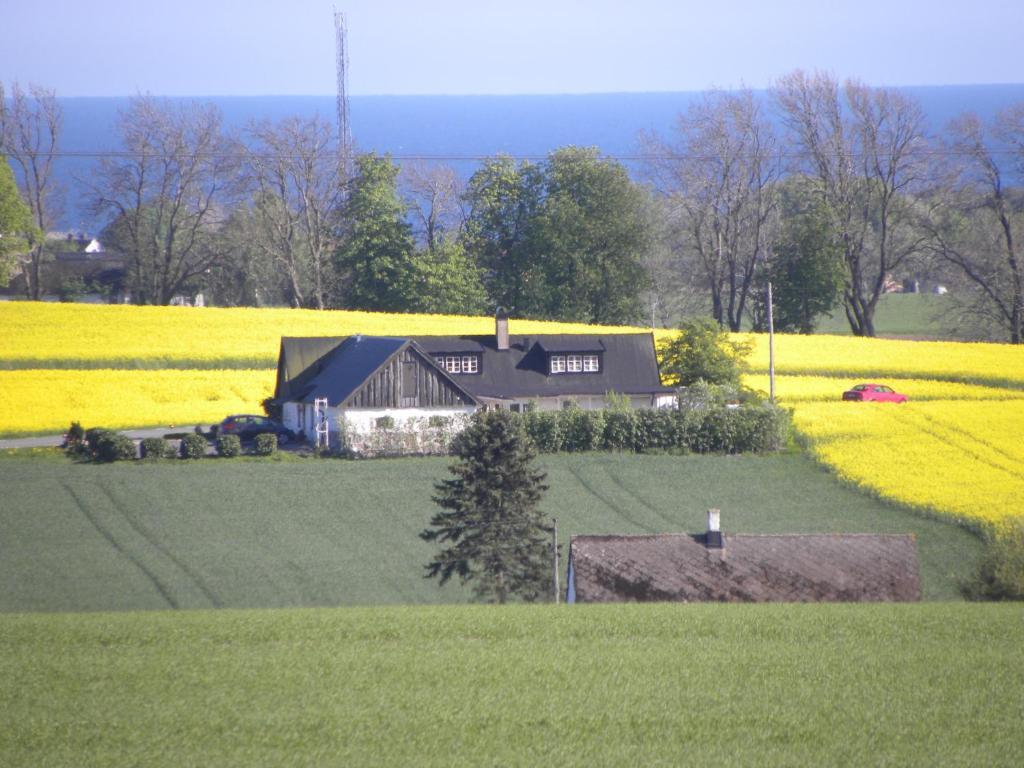 Glimminge Bed & Breakfast Simrishamn község Kültér fotó