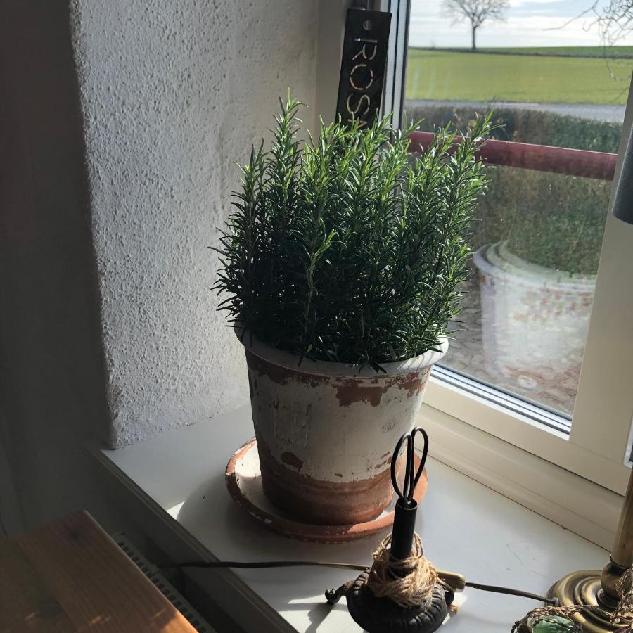Glimminge Bed & Breakfast Simrishamn község Kültér fotó